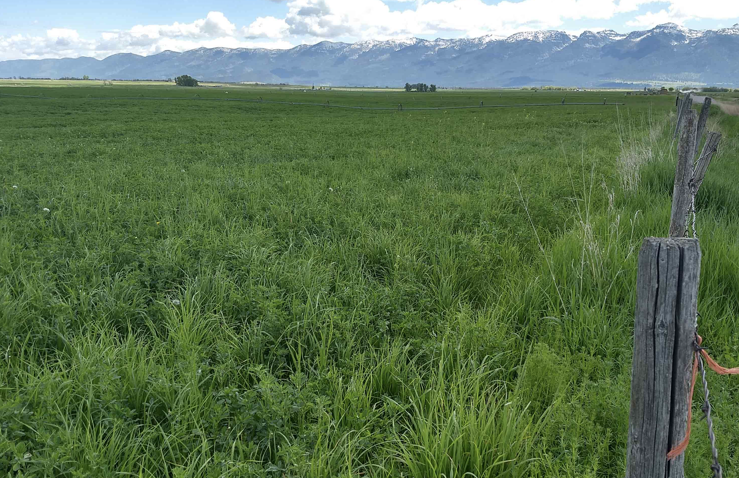 Nearly 1,000 acres of Northwest Montana farmland remains permanently protected - Vimarsana News